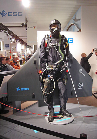 Illustration for article titled This Video Is The Result Of A Wingsuit, A GoPro And A Death Wish